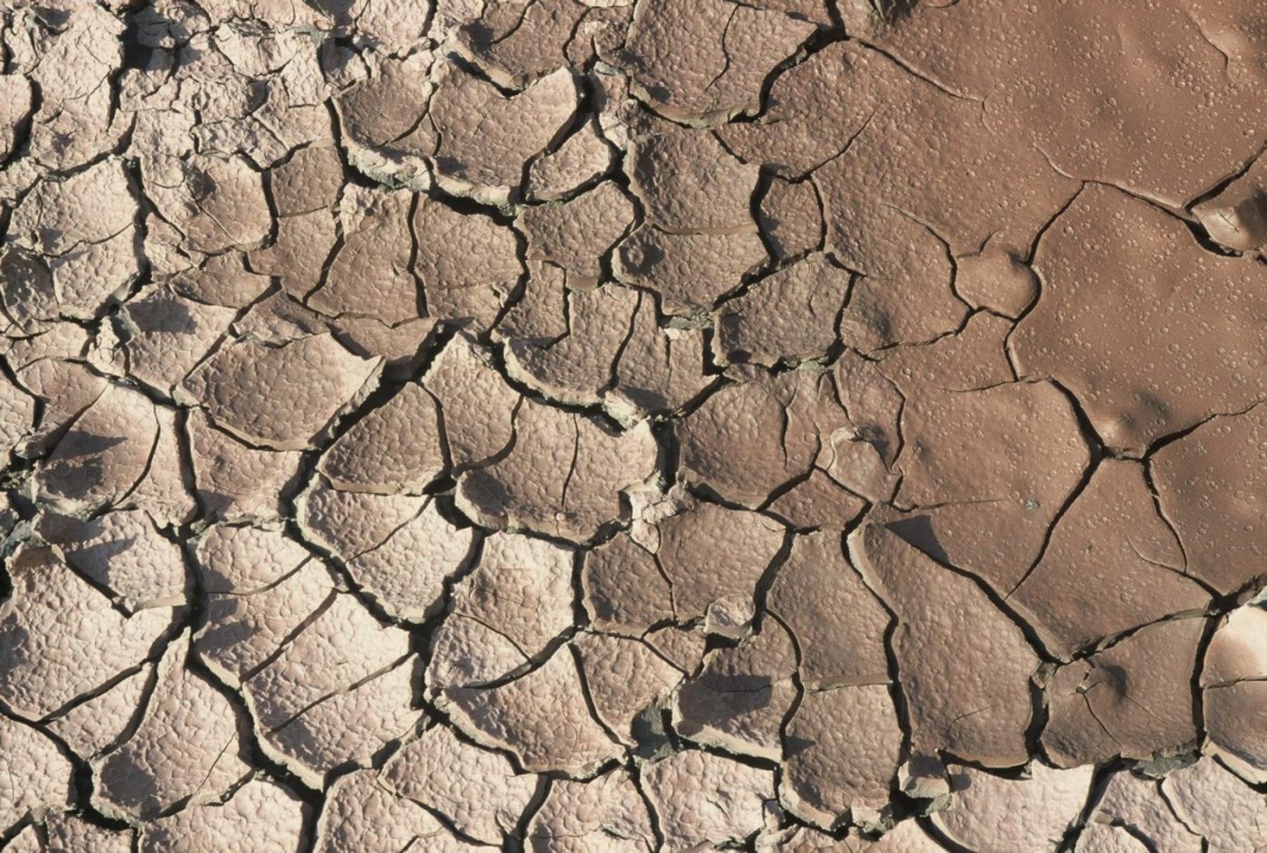 Etude des sols argileux Ain Géotechniques